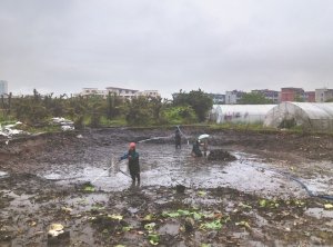 东阳河道鱼塘清淤